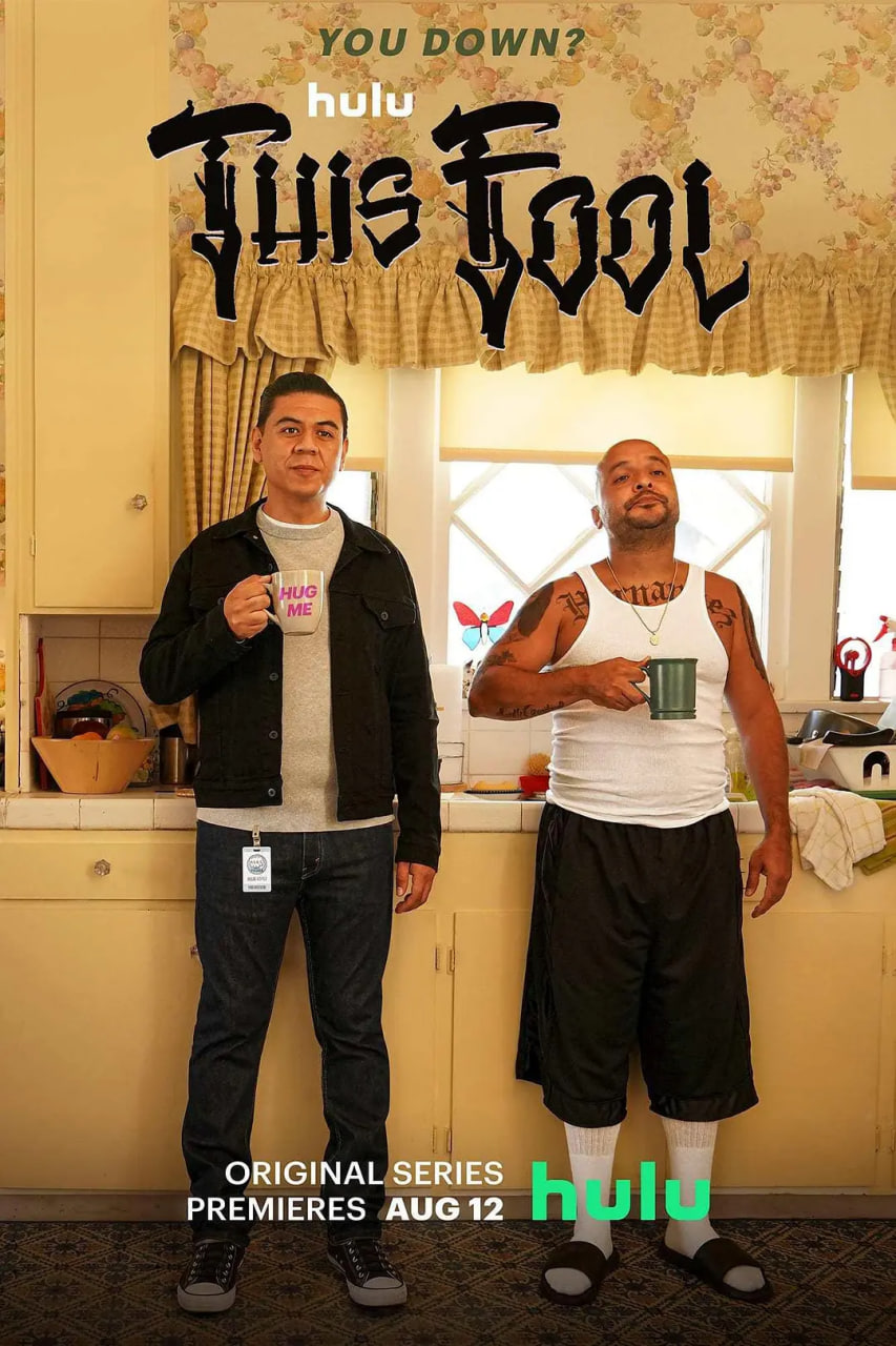 这个傻瓜 第一季封面图