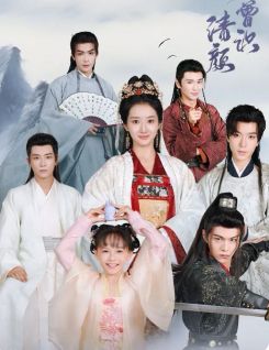 何曾识清颜封面图