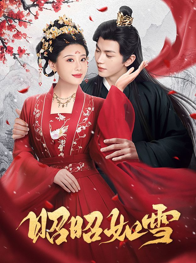 昭昭如雪封面图