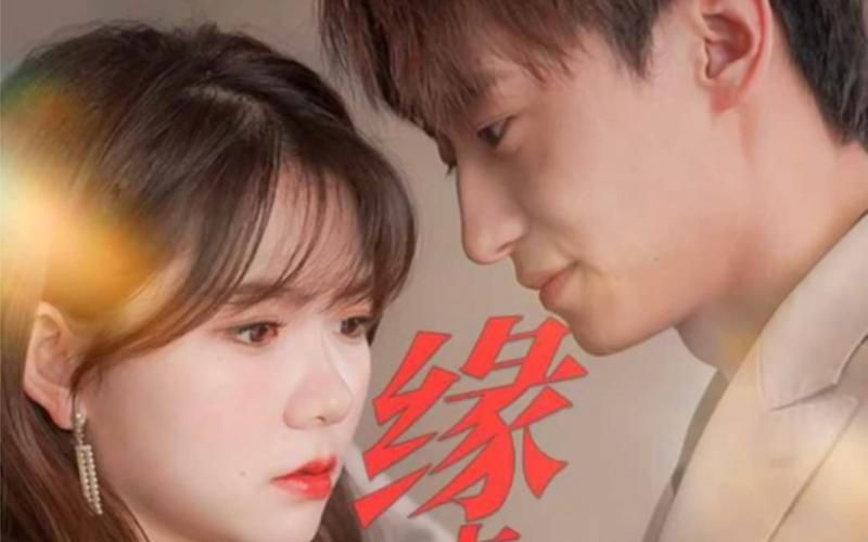 缘来是你封面图