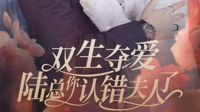 双生夺爱陆总你认错夫人了封面图