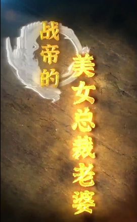 战帝的美女总裁老婆封面图