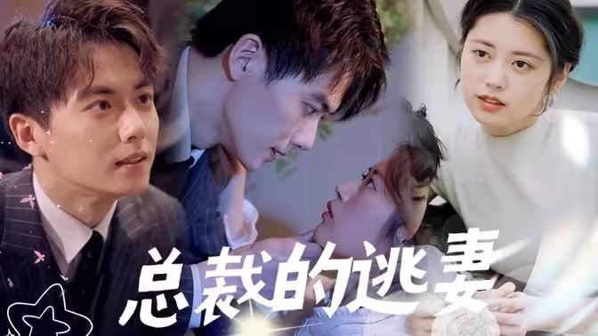 总裁的逃妻封面图