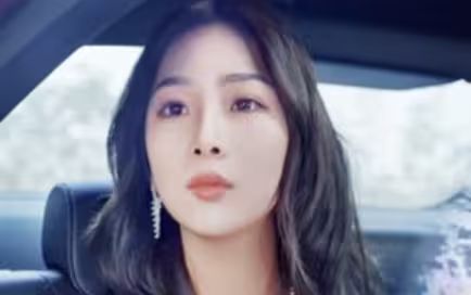 女总裁还乡又美又飒封面图