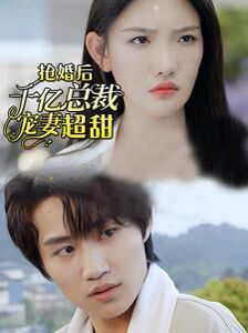 抢婚后千亿总裁宠妻超甜封面图