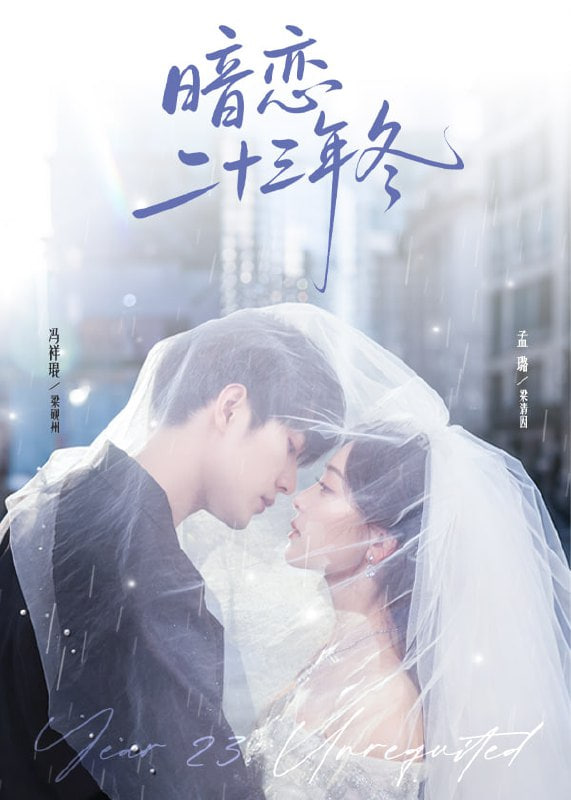 暗恋二十三年冬封面图
