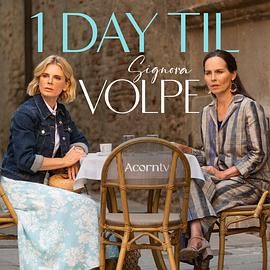 狐狸女士 第二季封面图