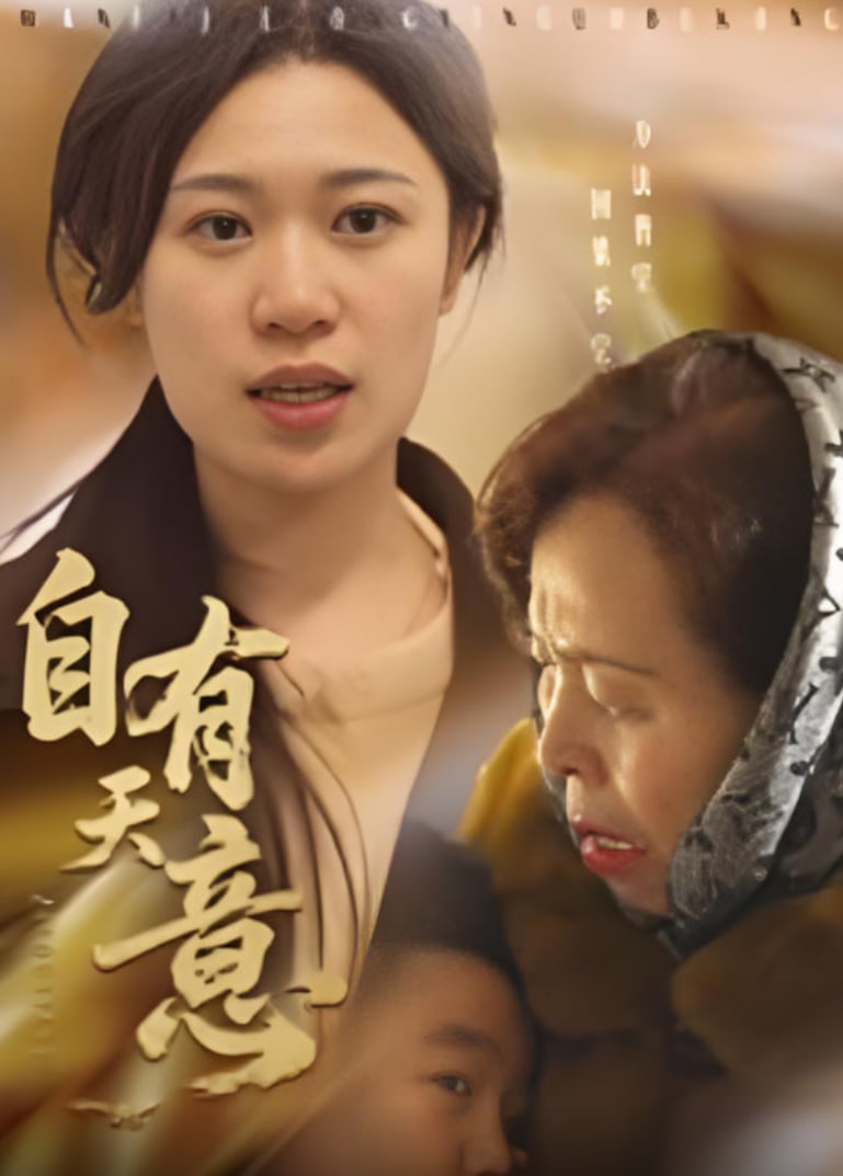 自有天意封面图