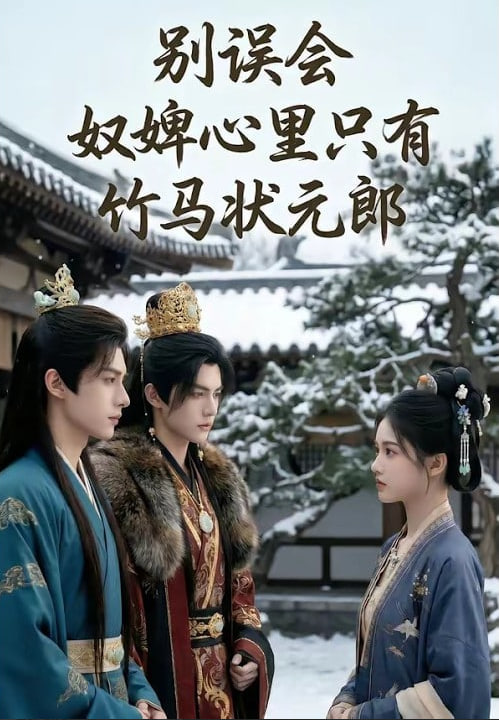 别误会，奴婢心里只有竹马状元郎封面图