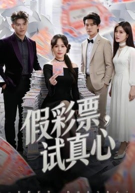 假彩票，试真心封面图