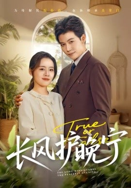 长风护晚宁封面图