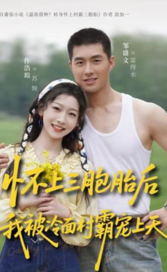 怀上三胞胎后，我被冷面村霸宠上天封面图