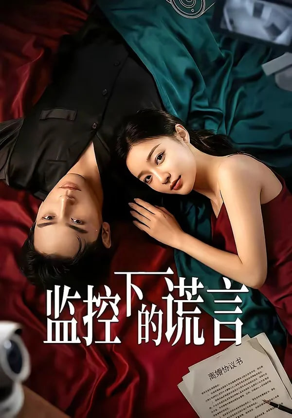 监控下的谎言封面图