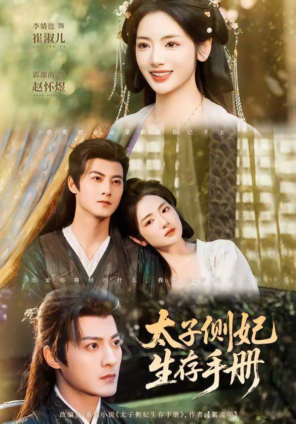 太子侧妃生存手册封面图