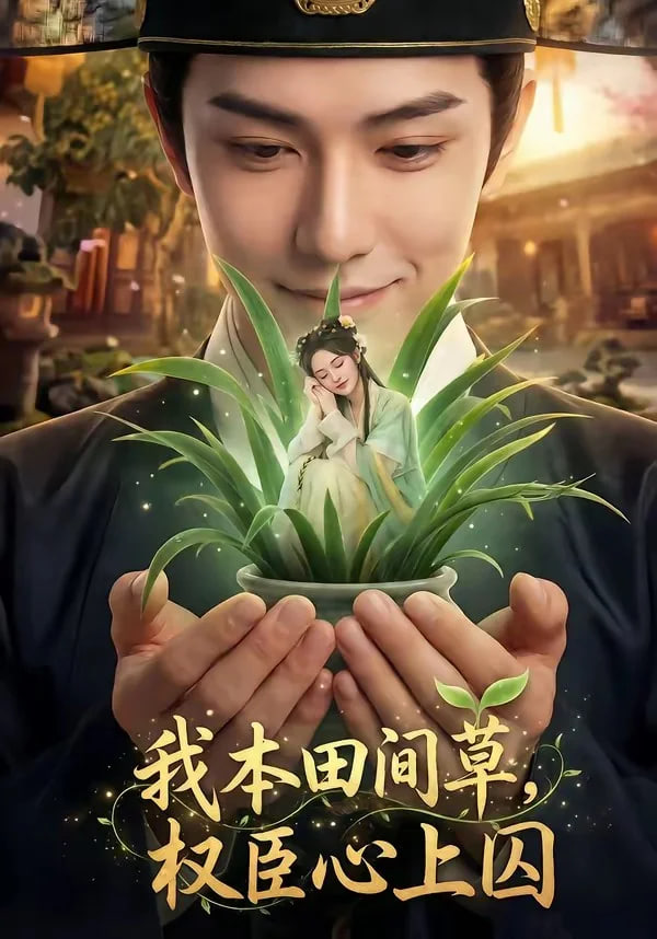 我本田间草，权臣心上囚封面图