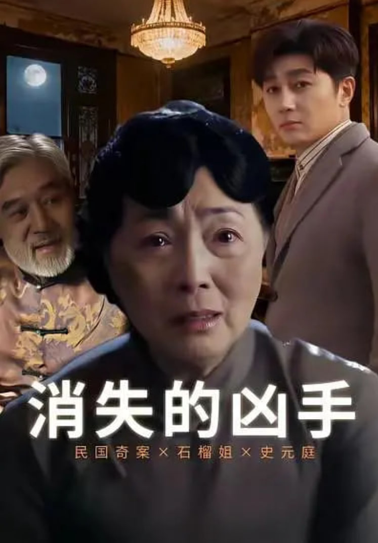 消失的凶手封面图