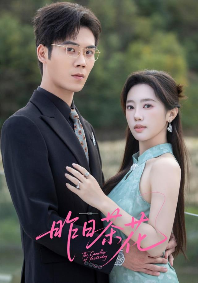 昨日茶花封面图