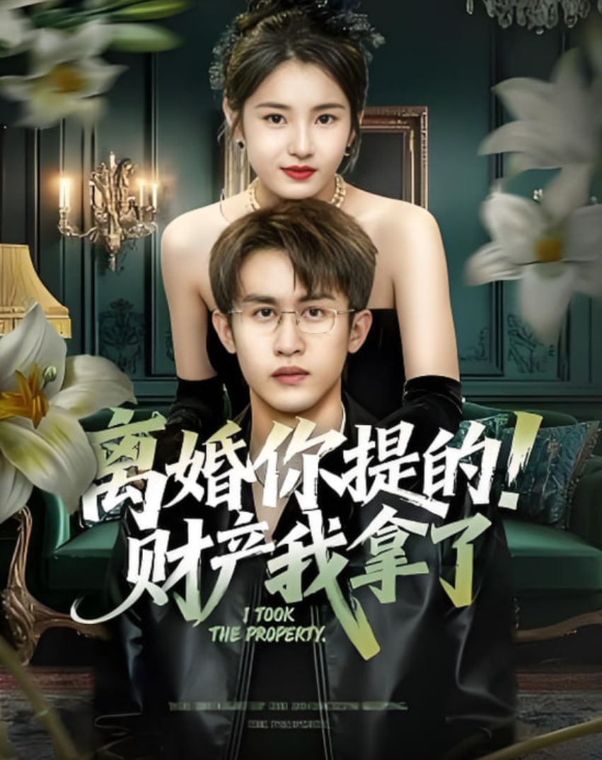 离婚你提的！财产我拿了封面图