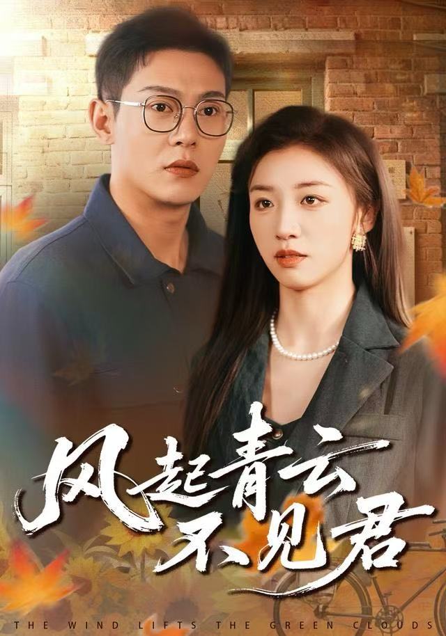 风起青云不见君封面图