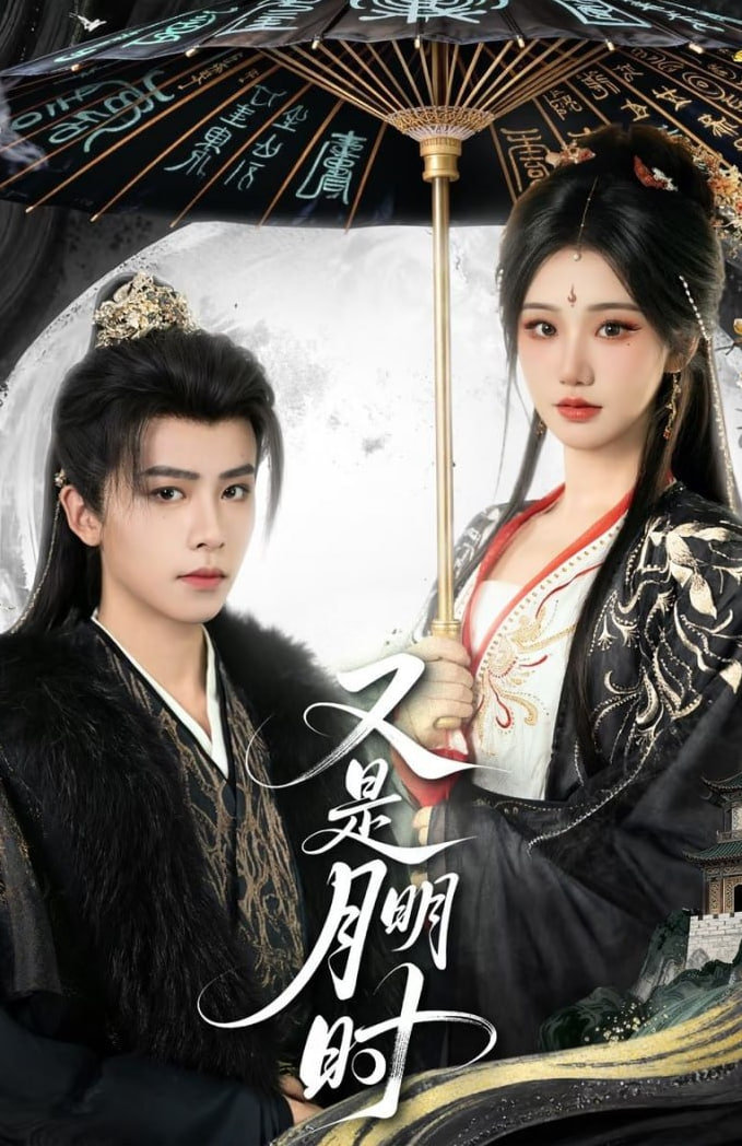 又是月明时封面图