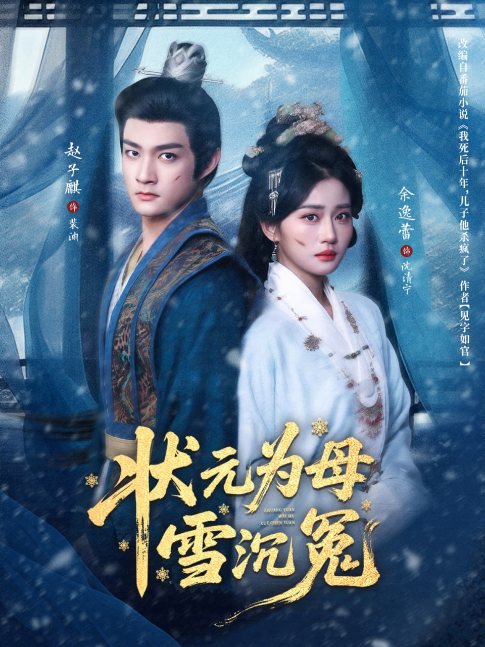 状元为母雪沉冤封面图