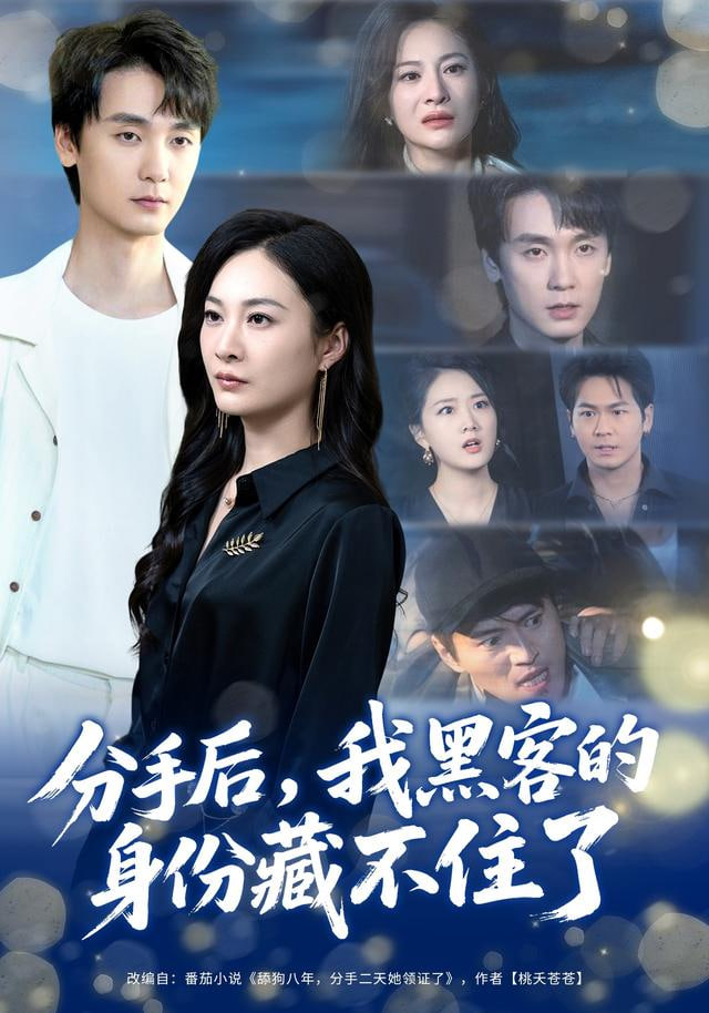 分手后，我黑客的身份藏不住了封面图