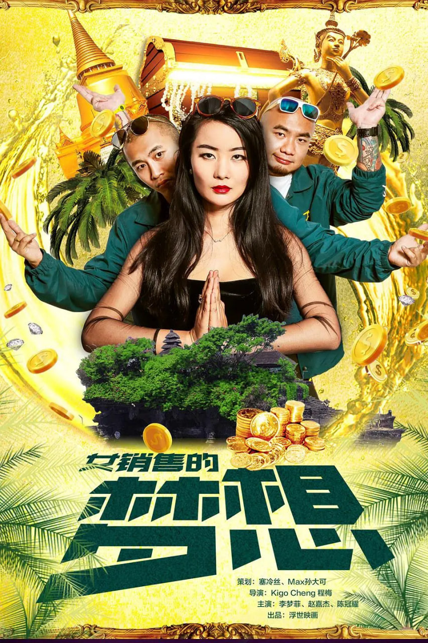 女销售的梦想封面图