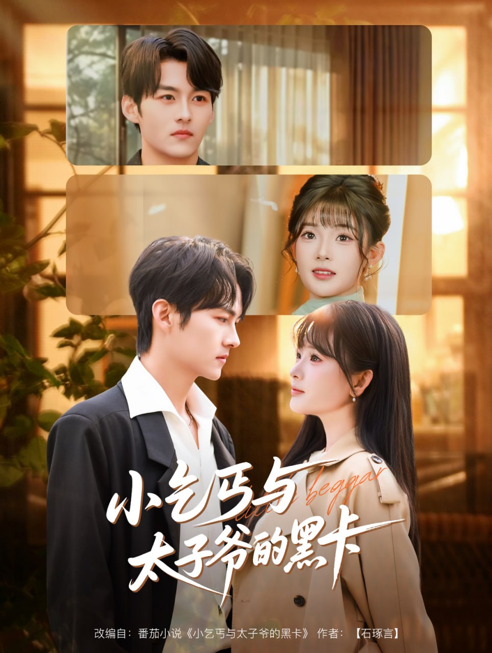 小乞丐与太子爷的黑卡封面图