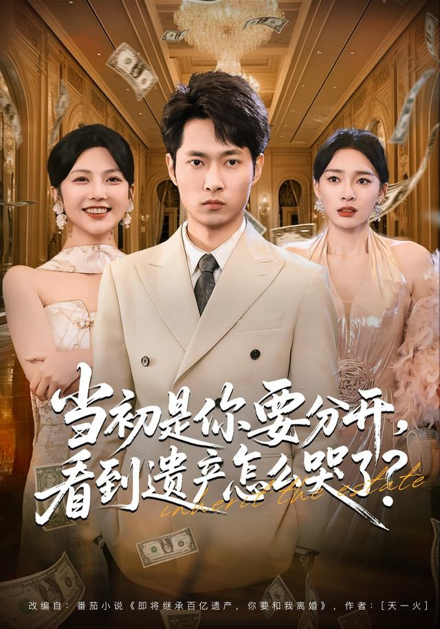 当初是你要分开，看到遗产怎么哭了？封面图