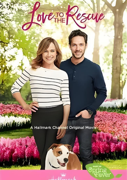 救助狗狗遇到爱封面图