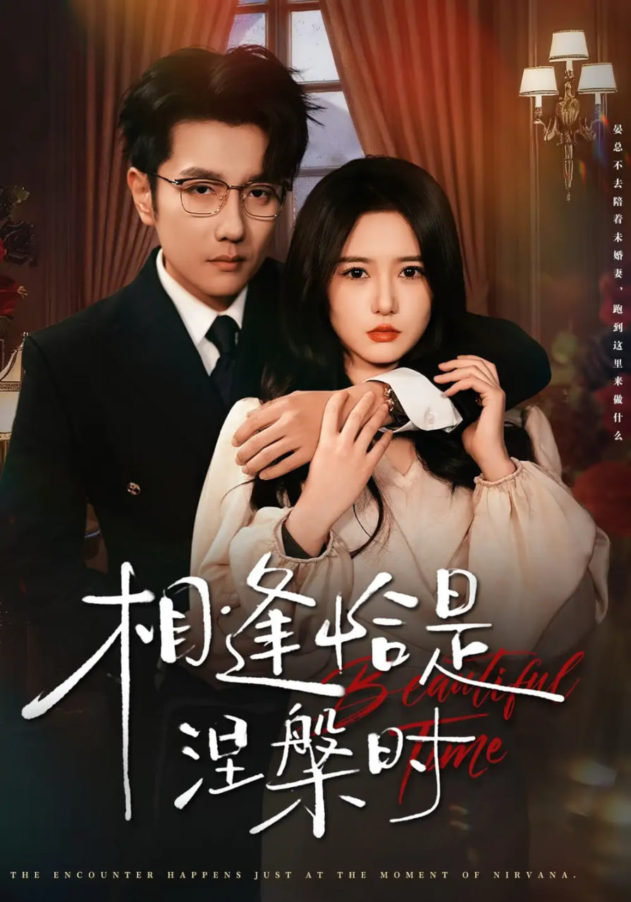 相逢恰是涅槃时封面图