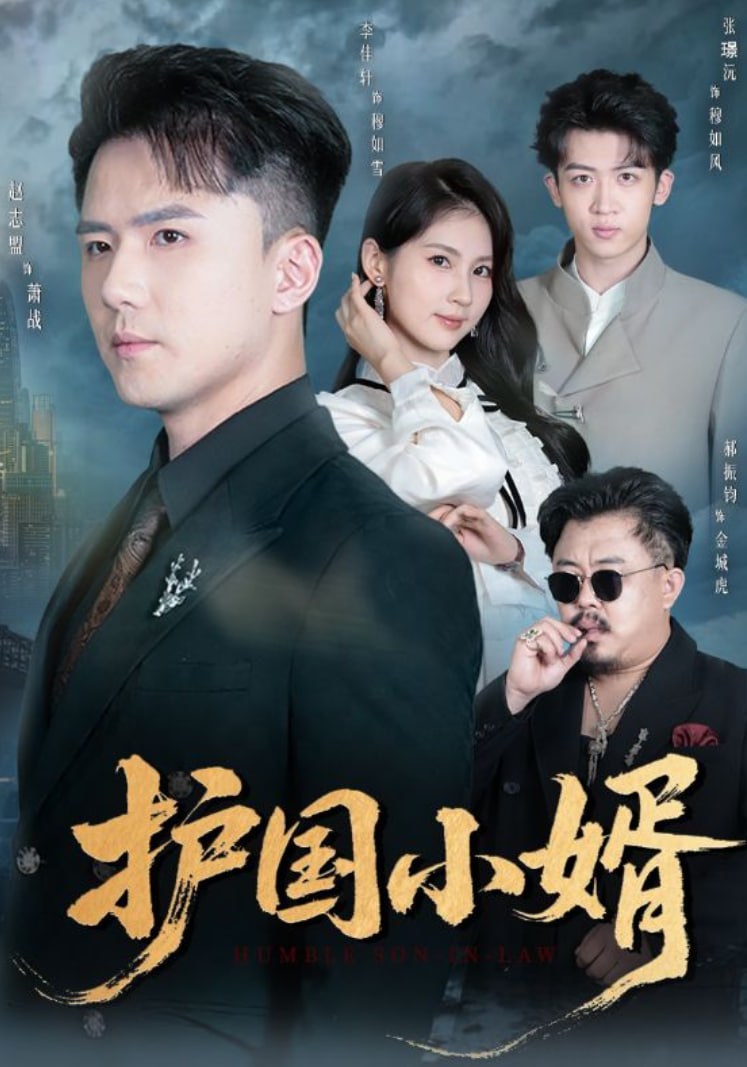 护国小婿封面图