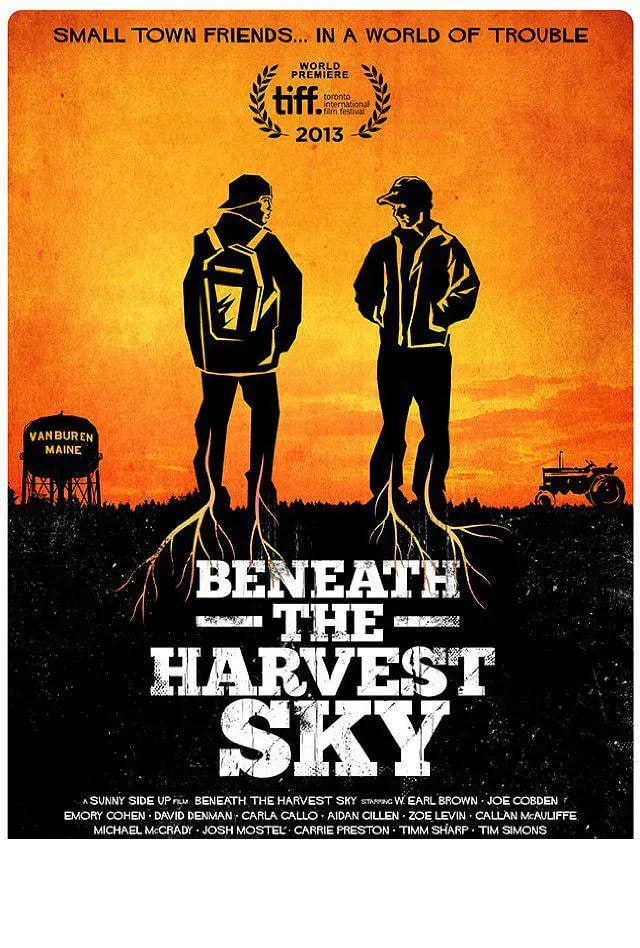 收获的天空下封面图