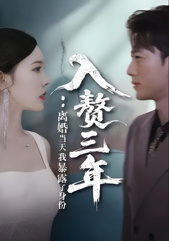入赘三年：离婚当天我暴露了身份封面图