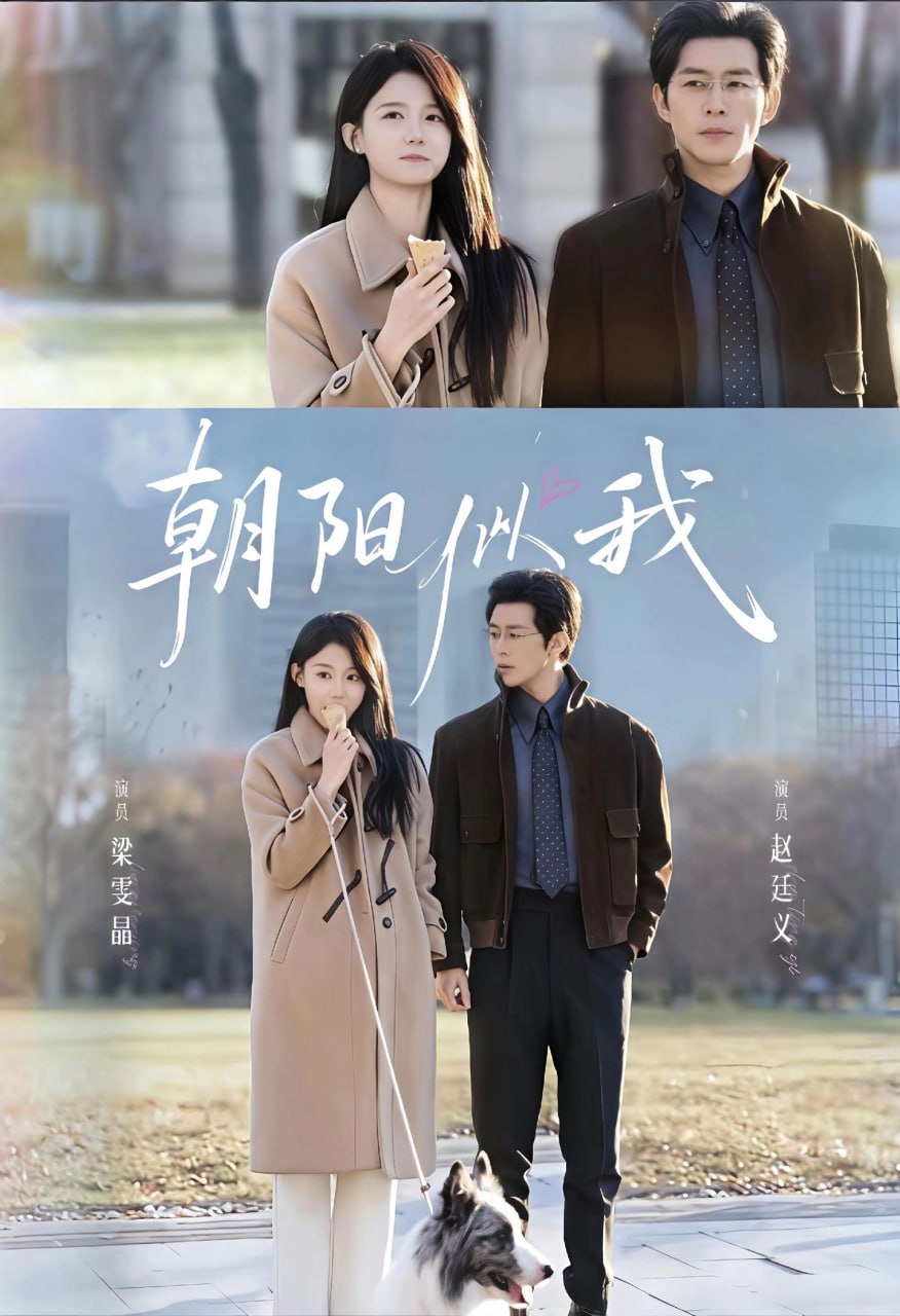 朝阳似我封面图