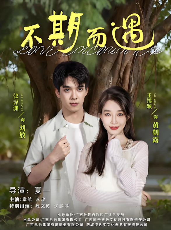 不期而遇封面图