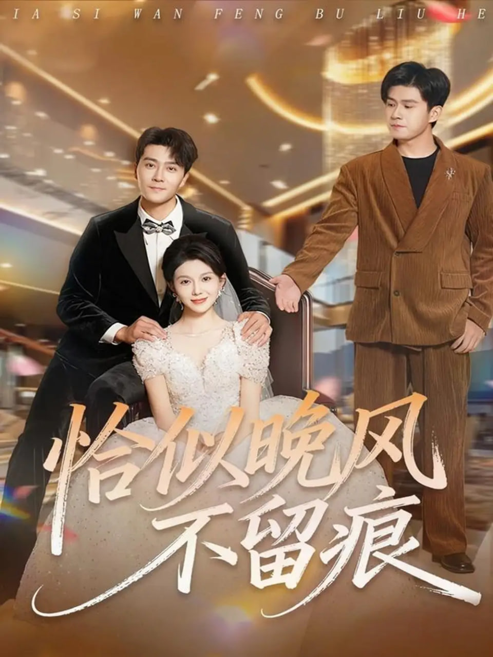 恰似晚风不留痕封面图