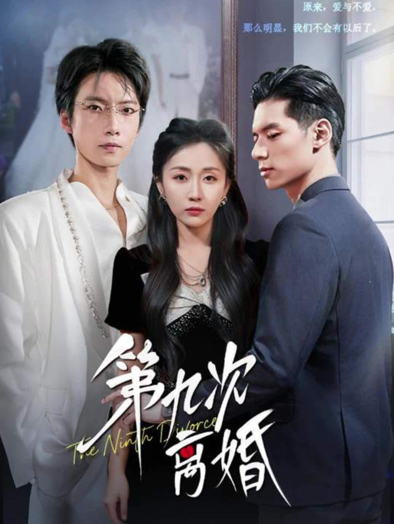 第九次离婚封面图
