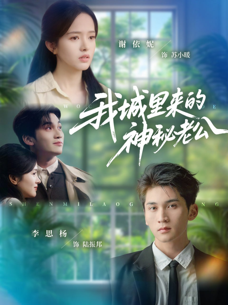 我城里来的神秘老公封面图