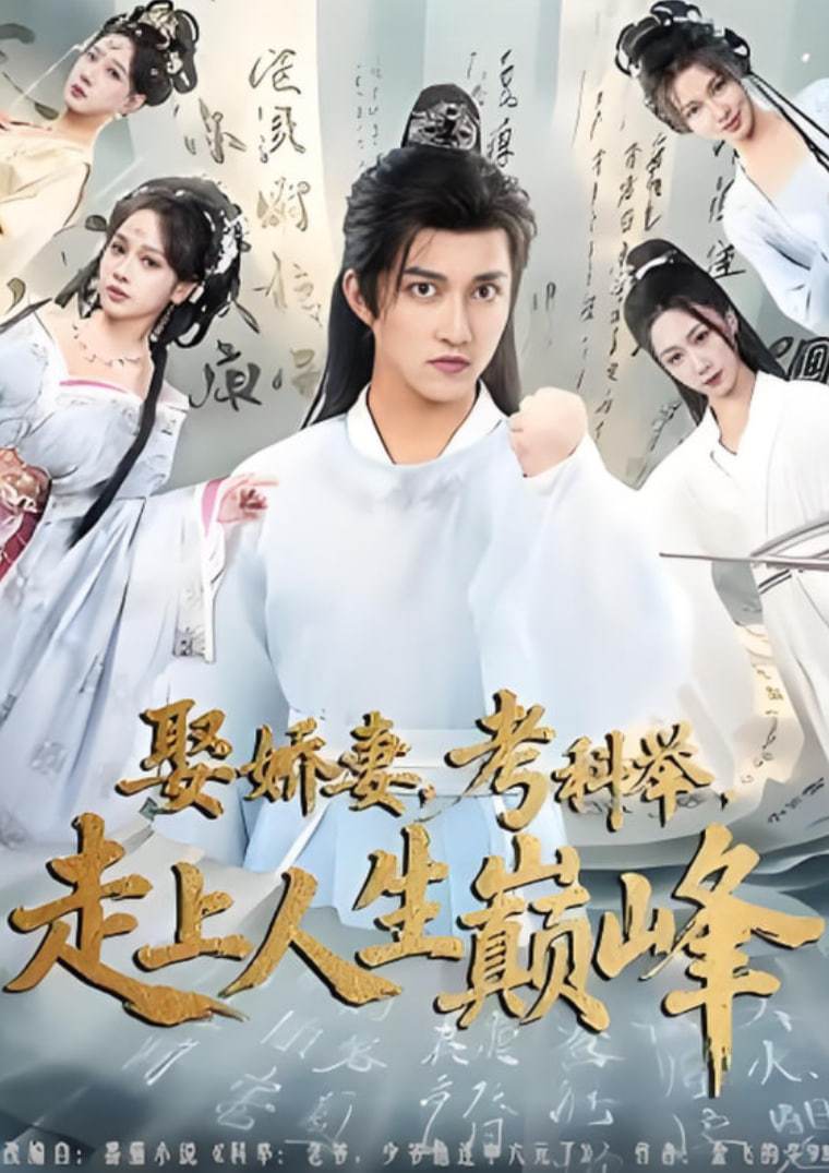 娶娇妻，考科举，走上人生巅峰封面图
