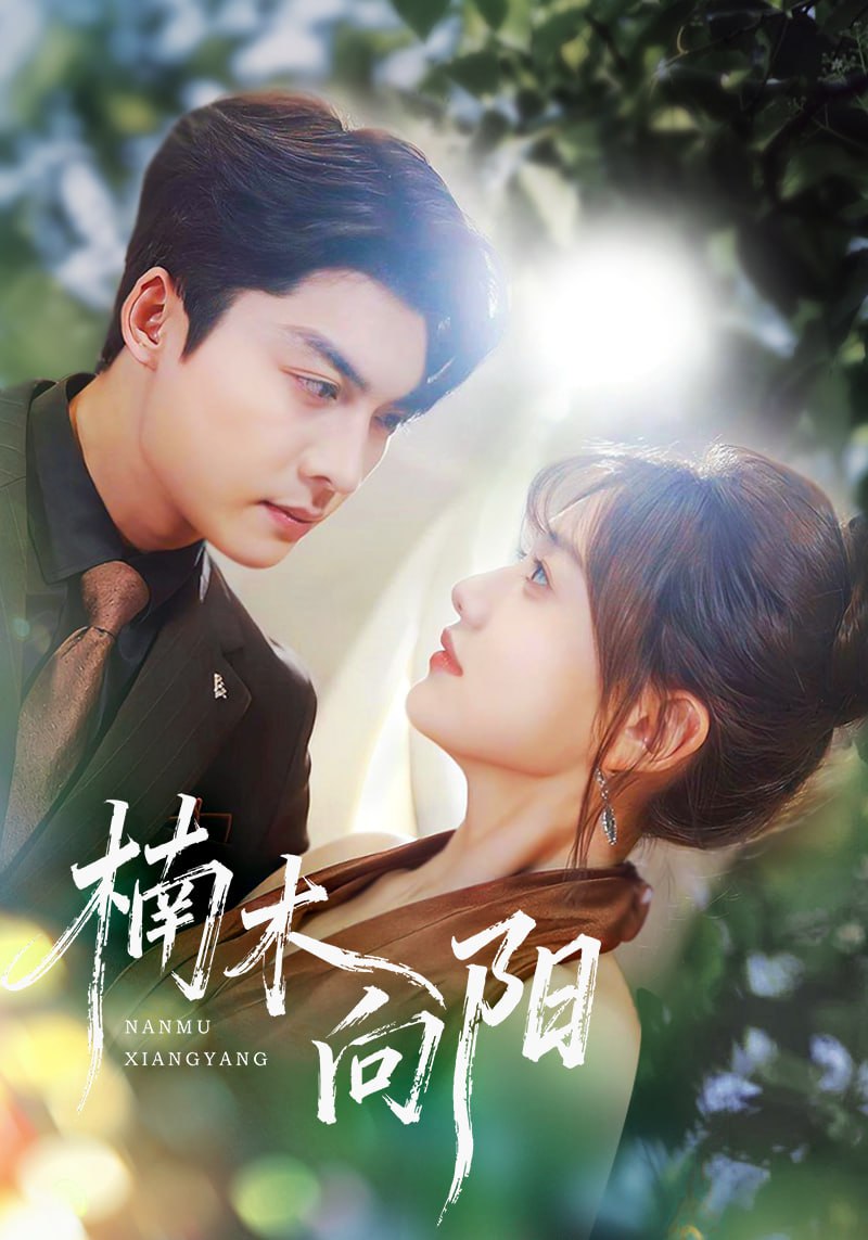 楠木向阳封面图