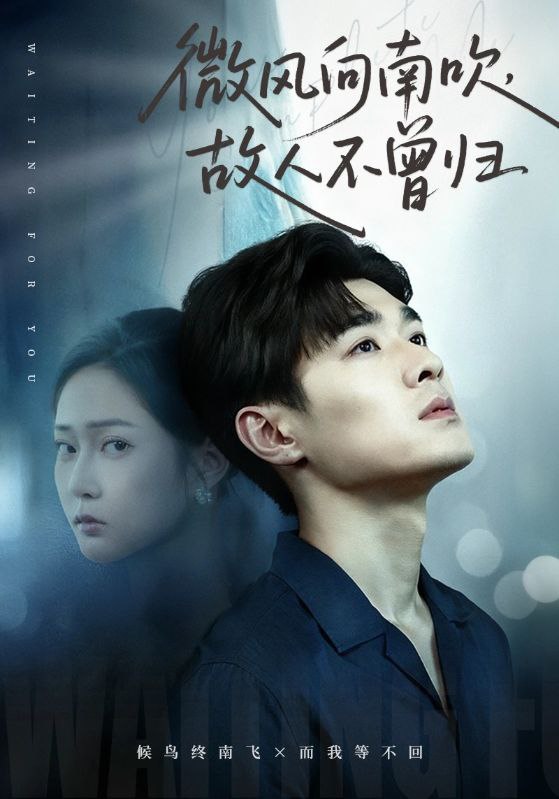 微风向南吹，故人不曾归封面图