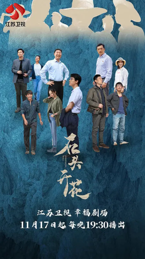 石头开花封面图