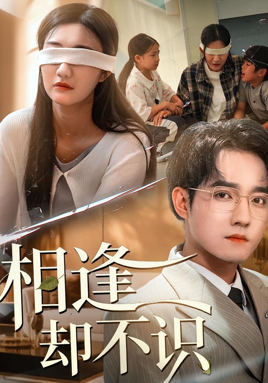 相逢却不识封面图