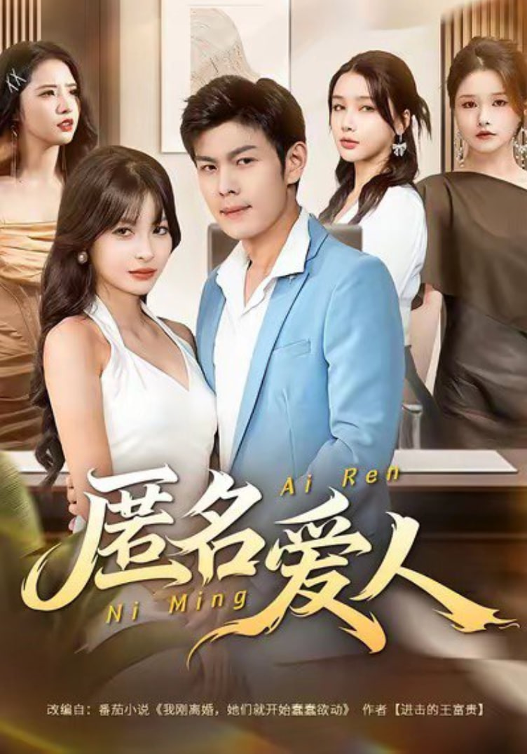 匿名爱人封面图