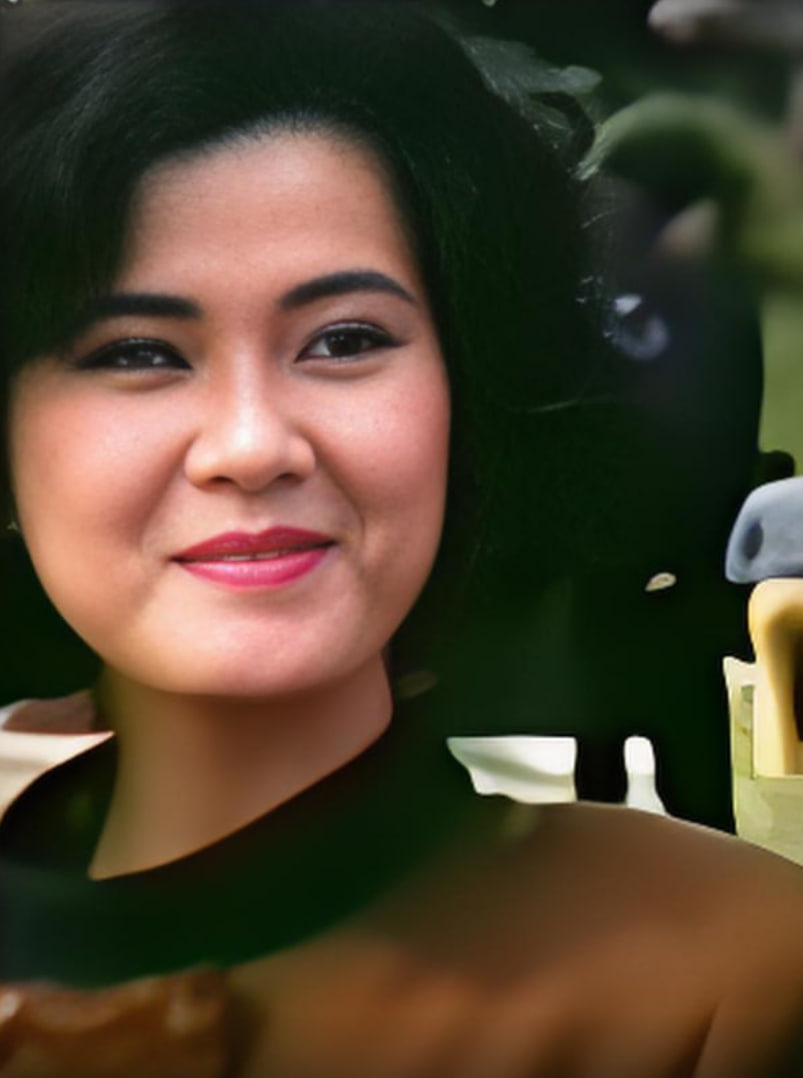 蓝色俏夫人封面图