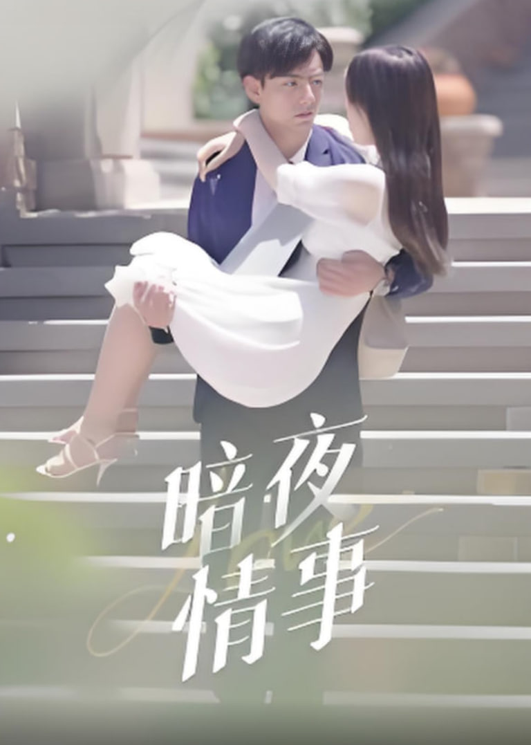 暗夜情事封面图