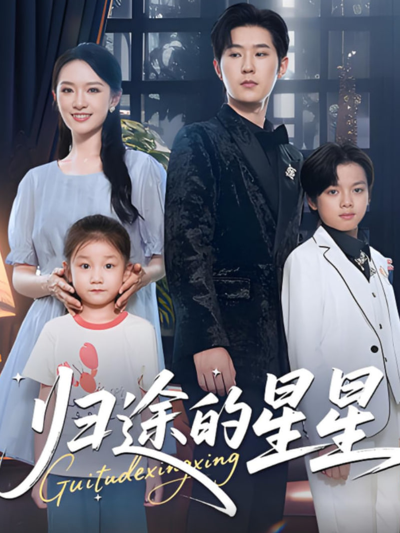 归途的星星封面图