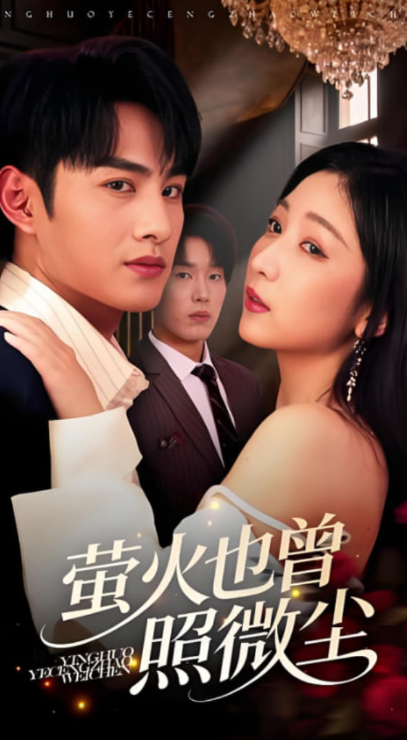 萤火也曾照微尘封面图