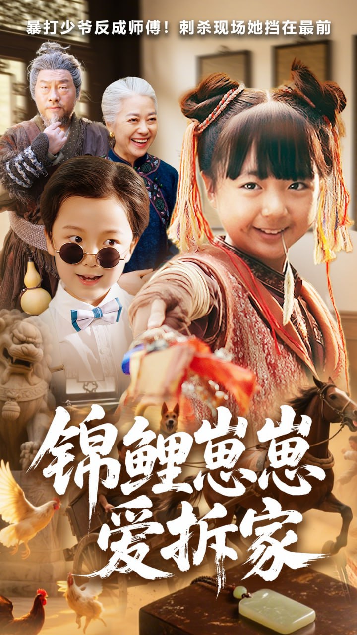 锦鲤崽崽爱拆家封面图